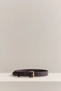 Belts>Trenery Asher Belt Chocolate