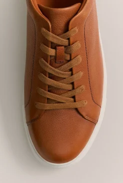 Shoes><noscript><img width=