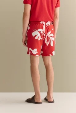 Shorts><noscript><img width=
